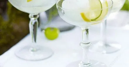 Gin & tonic sorbet
