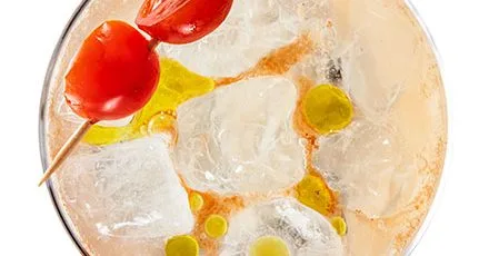 Mediterranean savoury G&T