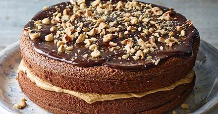 Mocha & hazelnut cake