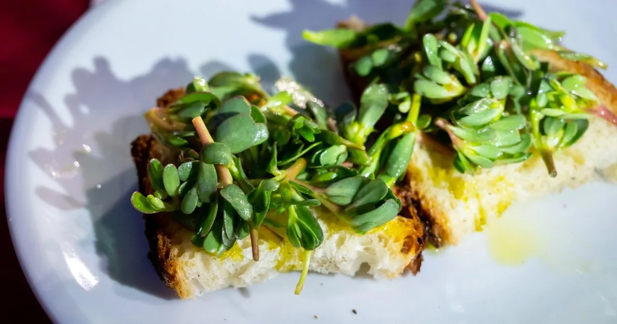 Маринований портулак — рецепт літньої зеленої закуски